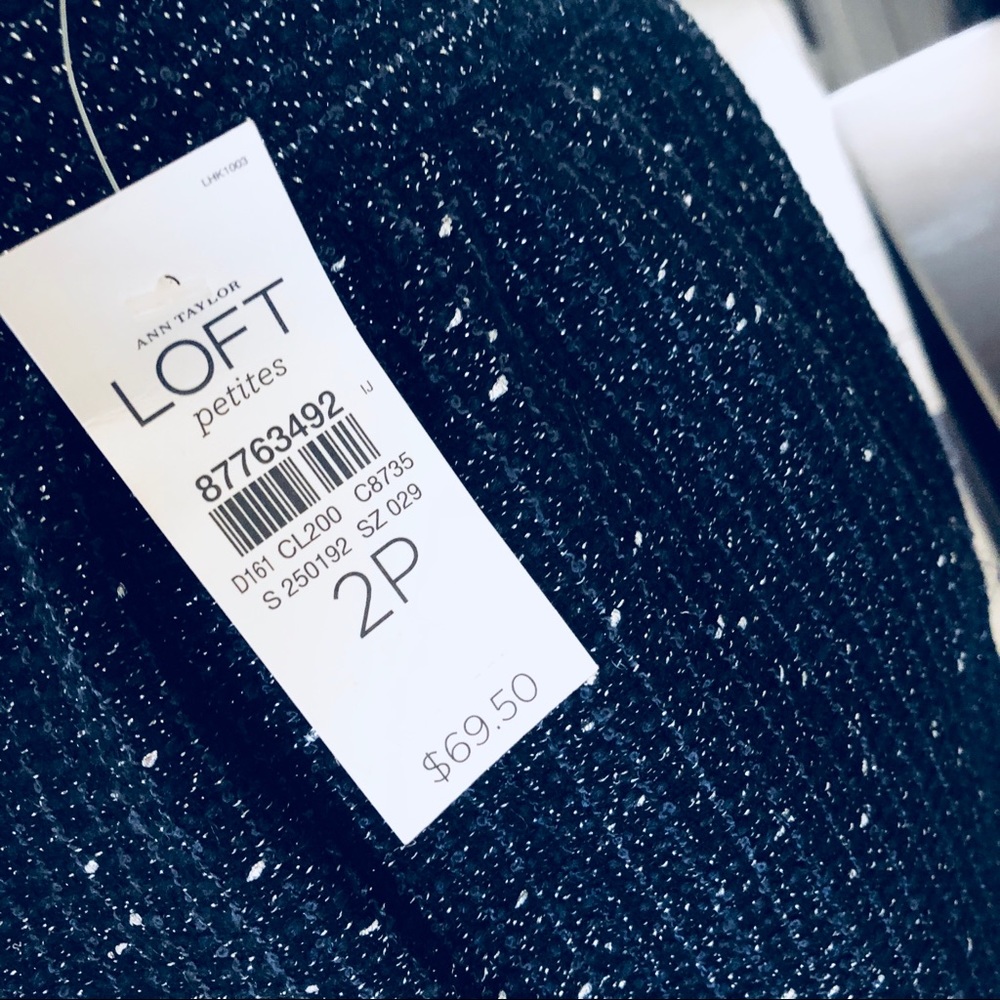 SOLD Ann Taylor Loft Petite Skirt Size 2P - Picture 4 of 4